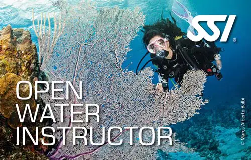 Open Water Instructor course